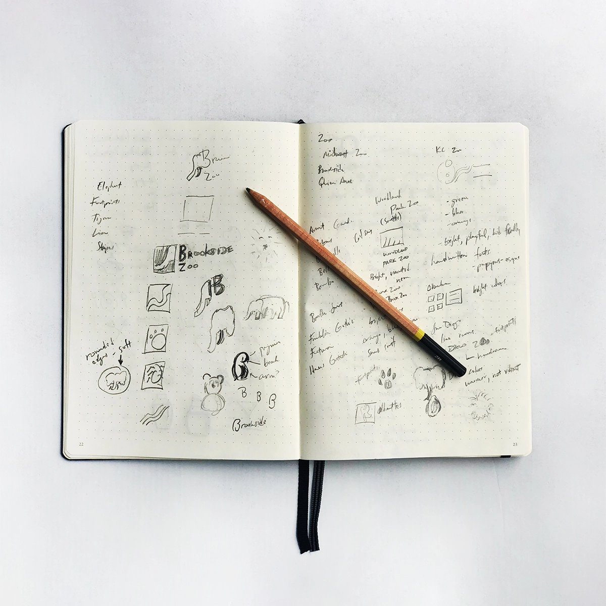 Brookside Zoo Logo sketch