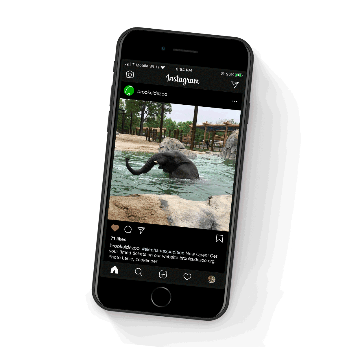 Brookside Zoo marketing collateral